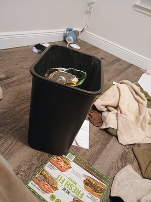 IMG_20260509_053835574_AE.jpg