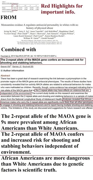warrior gene.jpg