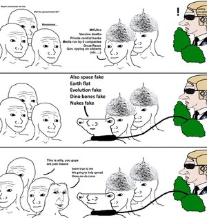 1767335360784646m.jpg