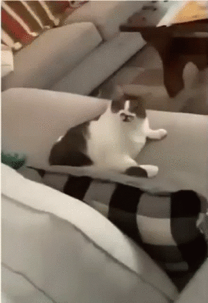 1783467563763234