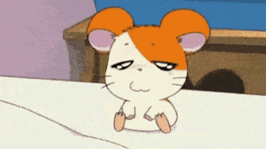 Hamtaro sleeping