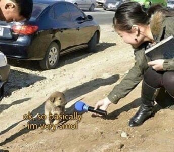Very smol meme 1