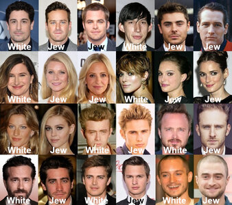 Jews  Whites