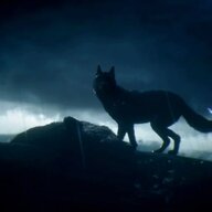 Crash Of Worlds Album Art