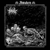 Litania Gladii Album Art